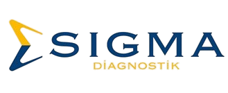 logo-removebg-preview